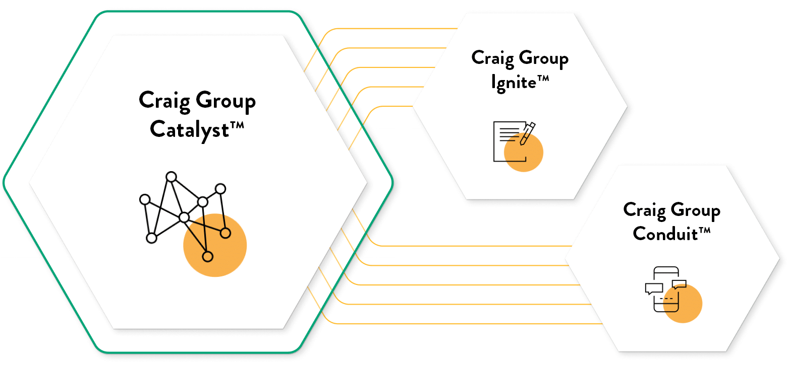 A matrix highlighting Craig Group services